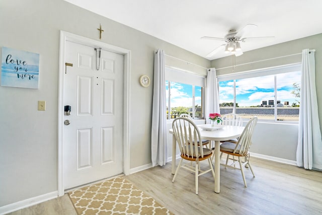 dining area with light hardwood / wood-style floors and ceiling fan