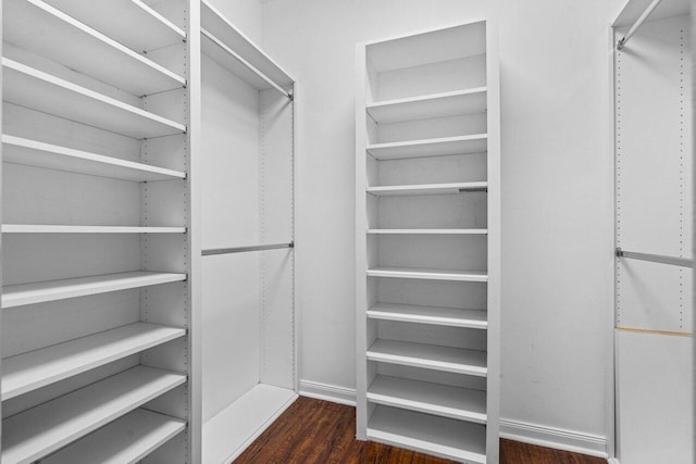 spacious closet featuring dark wood-type flooring