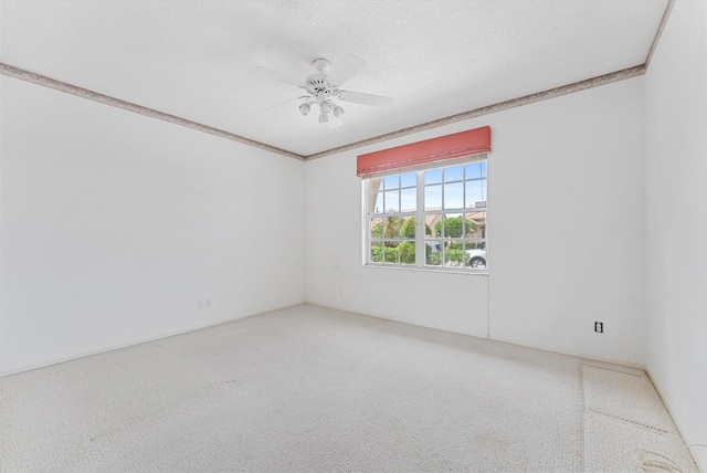 unfurnished room with crown molding, ceiling fan, and carpet floors