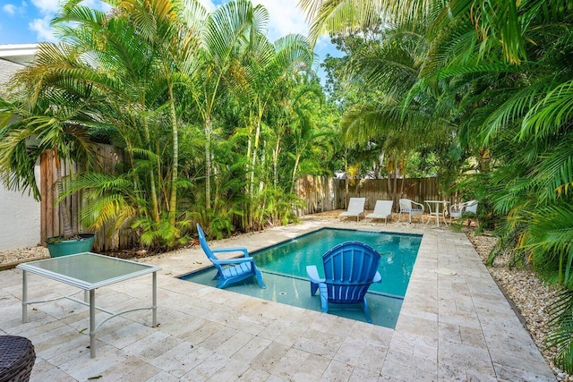 view of swimming pool with a patio area