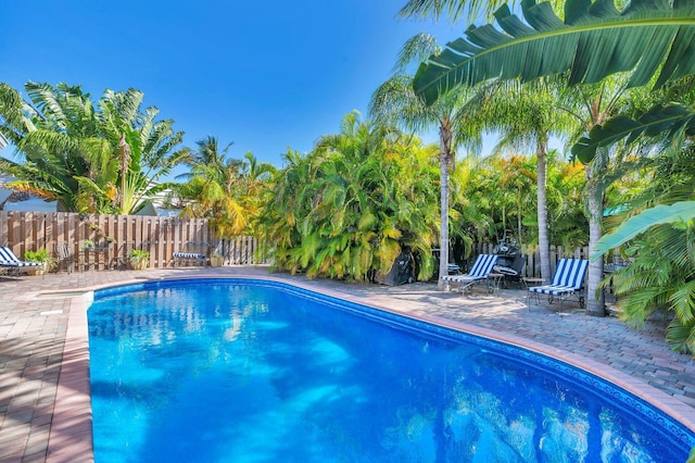 view of pool featuring a patio area