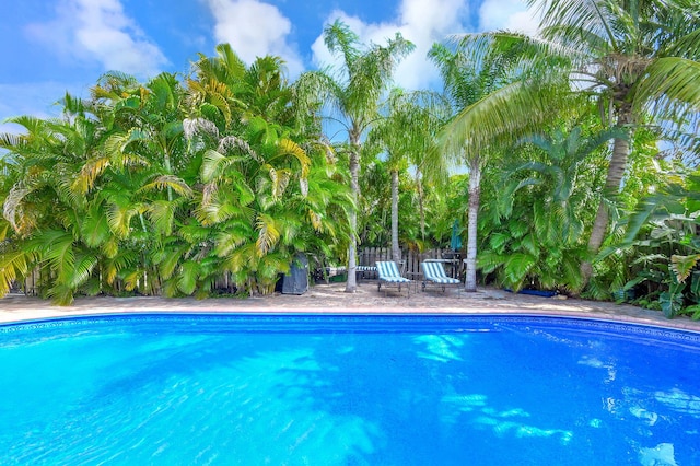 view of swimming pool