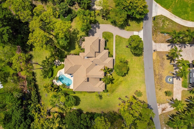 drone / aerial view