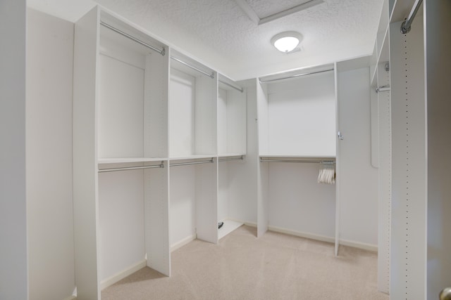 spacious closet with light colored carpet