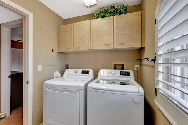 227 Legendary Cir, Palm Beach Gardens, FL 33418 - clothes washing area with cabinet space, washer and dryer, and carpet