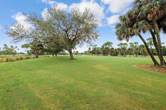 227 Legendary Cir, Palm Beach Gardens, FL 33418 - view of green lawn