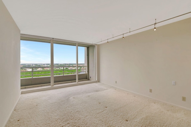 spare room with a wealth of natural light, track lighting, and carpet