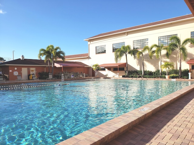 view of swimming pool with a patio area