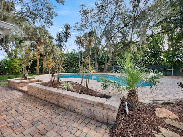 view of pool featuring a patio area