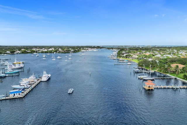 water view featuring a marina