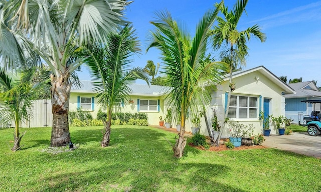 ranch-style house featuring a front yard