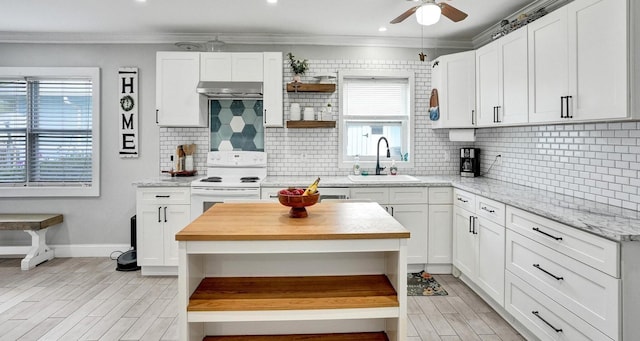 kitchen with sink, white cabinetry, ornamental molding, and electric stove