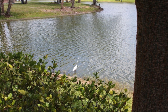 view of water feature