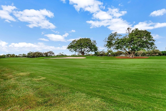 surrounding community featuring a yard