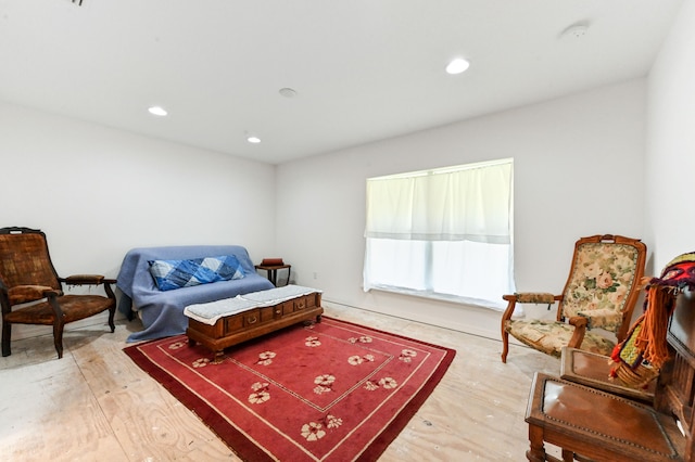 sitting room featuring wood-type flooring