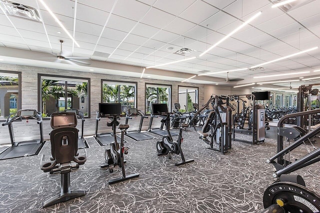 gym featuring ceiling fan, a drop ceiling, and dark carpet