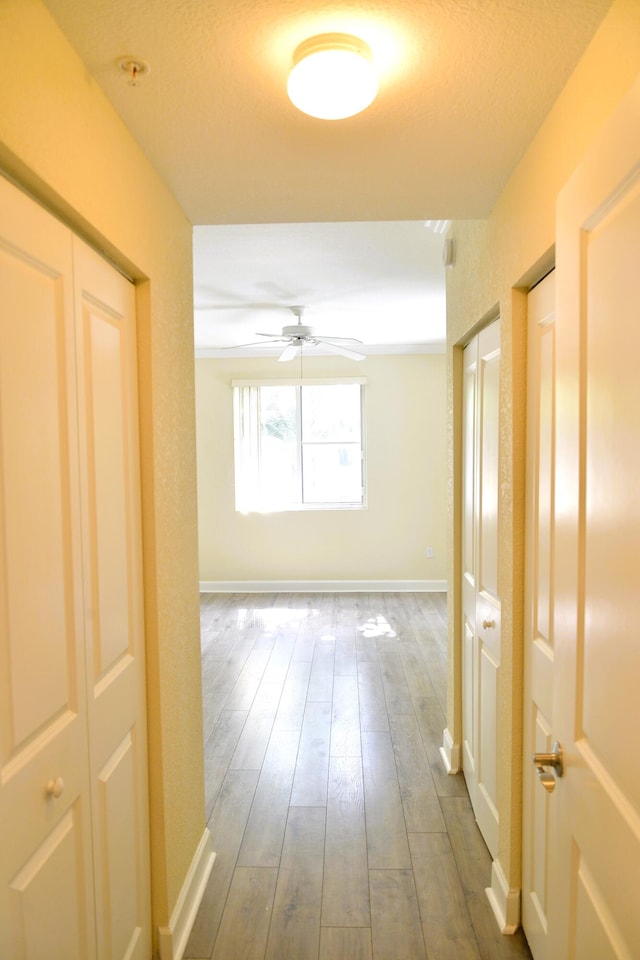 corridor featuring hardwood / wood-style flooring