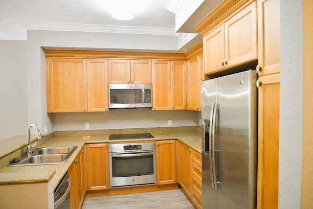 kitchen featuring ornamental molding, light wood-type flooring, stainless steel appliances, and sink