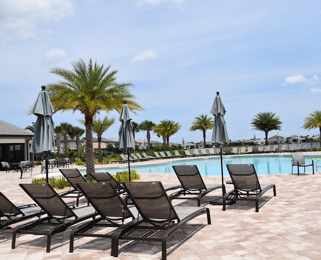 view of pool with a patio area