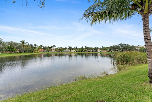 property view of water