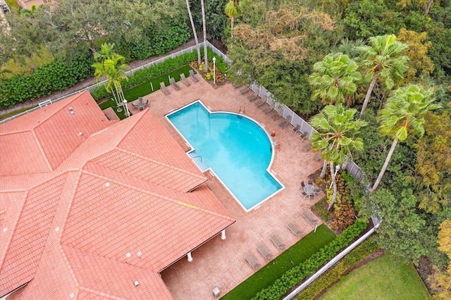 view of pool with a patio area