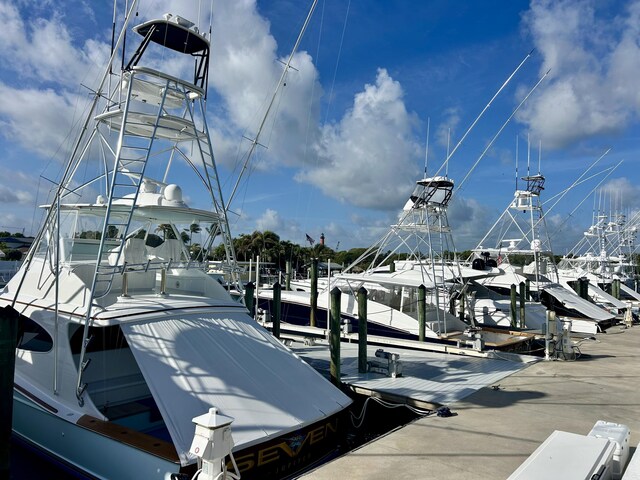 view of dock