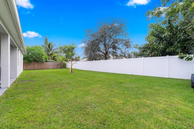 back of house featuring a patio and a yard