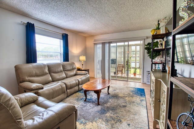 living room featuring hardwood / wood-style floors and a textured ceiling