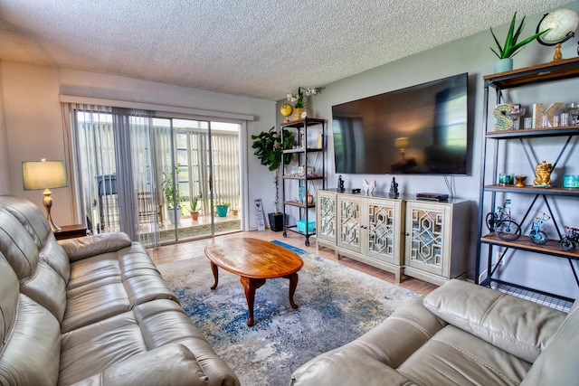 living room featuring wood-type flooring and a textured ceiling