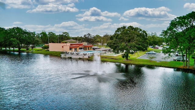 view of water feature