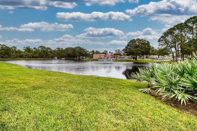 water view