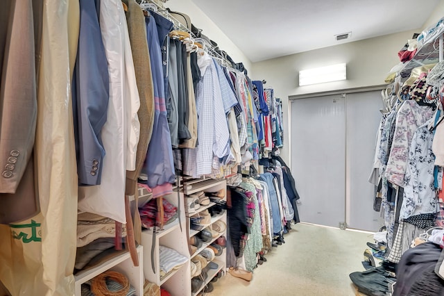 spacious closet with carpet floors