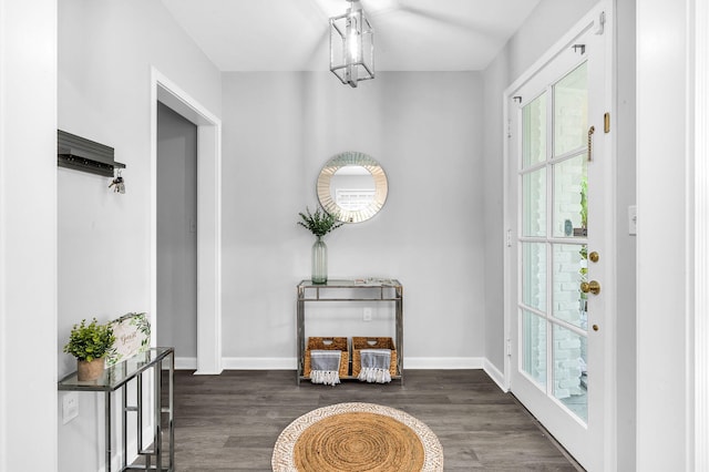 entrance foyer with dark wood-type flooring and a wealth of natural light