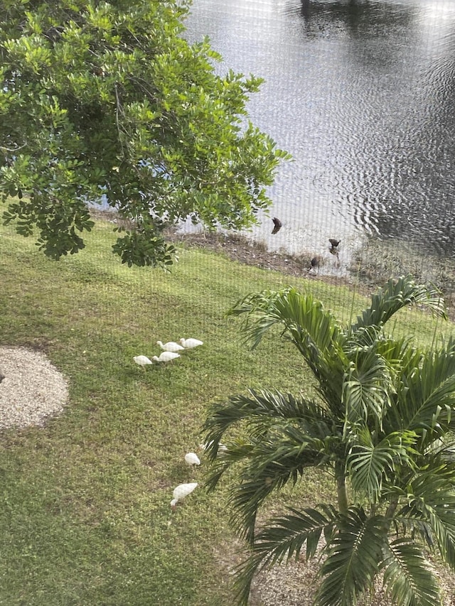 view of yard with a water view