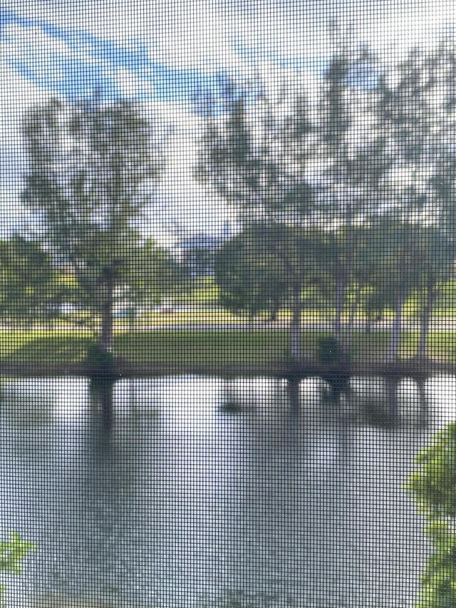 view of property's community with a yard and a patio