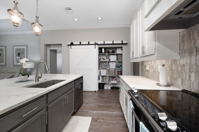 kitchen with white cabinetry, sink, a barn door, ventilation hood, and appliances with stainless steel finishes