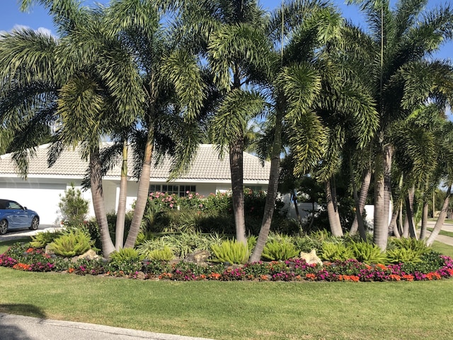 view of front facade with a front lawn