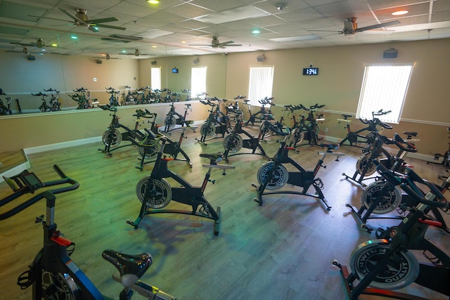 gym with ceiling fan, a paneled ceiling, and plenty of natural light