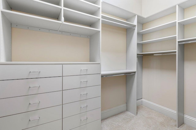 spacious closet featuring light carpet