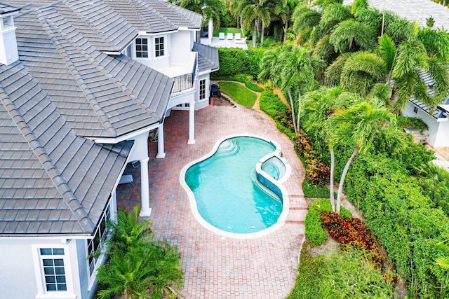 view of swimming pool featuring a patio