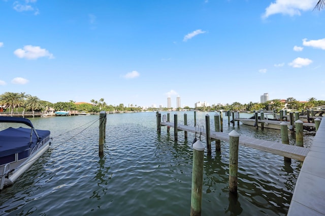 dock area with a water view