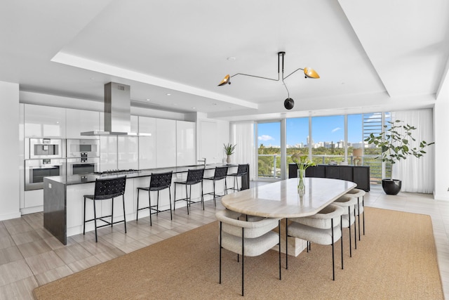 dining room with a tray ceiling