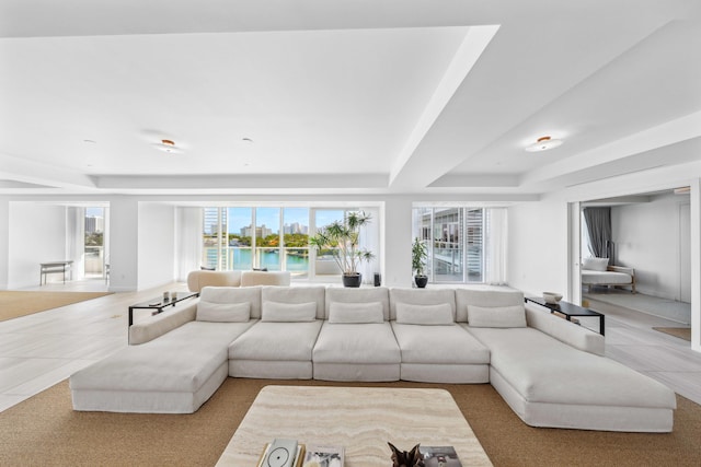 carpeted living room with a tray ceiling