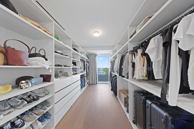 spacious closet with light wood-type flooring