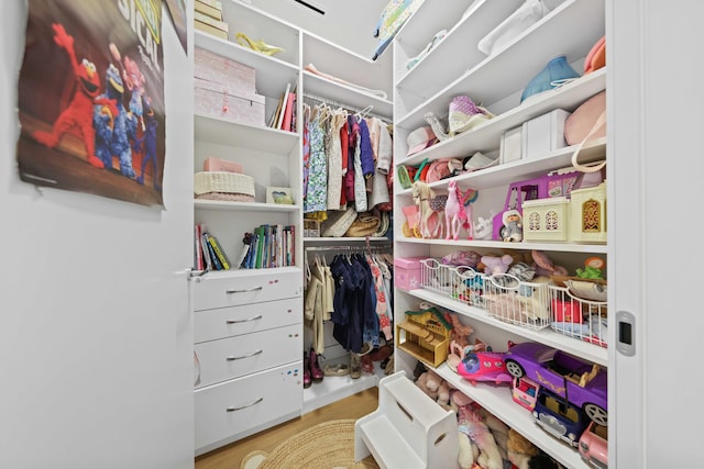 spacious closet featuring hardwood / wood-style flooring