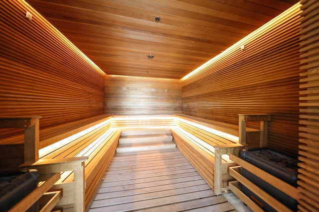 view of sauna with wood-type flooring