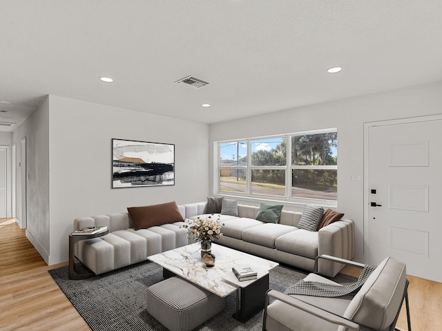 living room with light hardwood / wood-style flooring