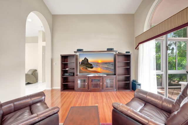 living room featuring hardwood / wood-style floors