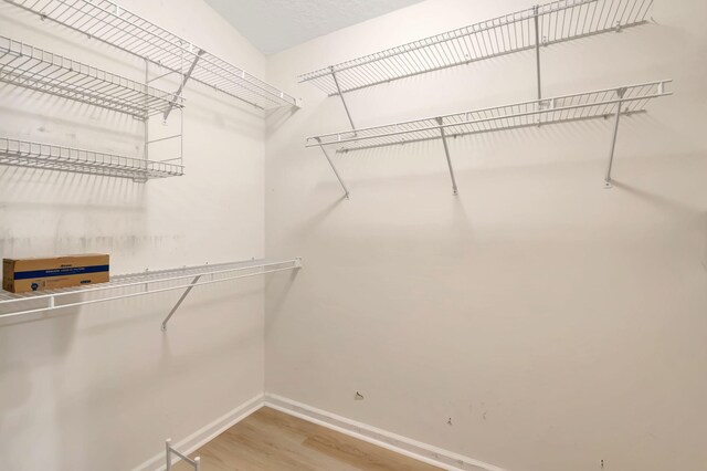 walk in closet featuring hardwood / wood-style floors