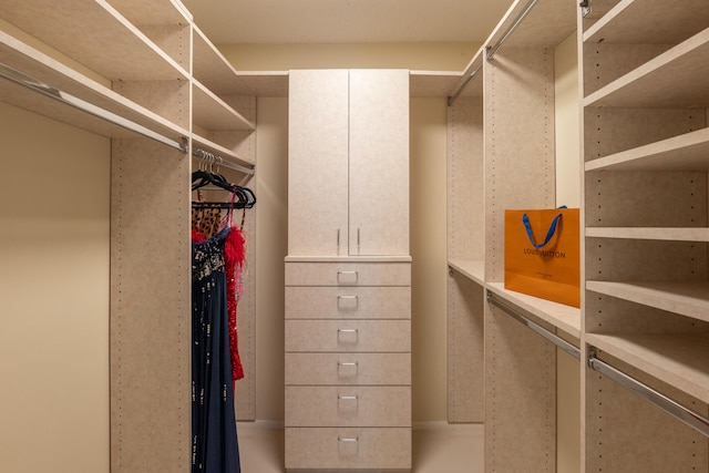 view of walk in closet